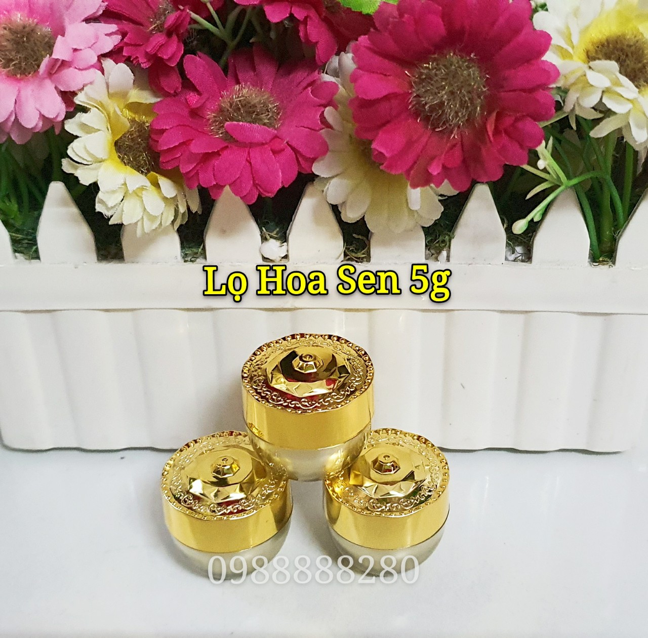 hũ đựng mỹ phẩm 5g
